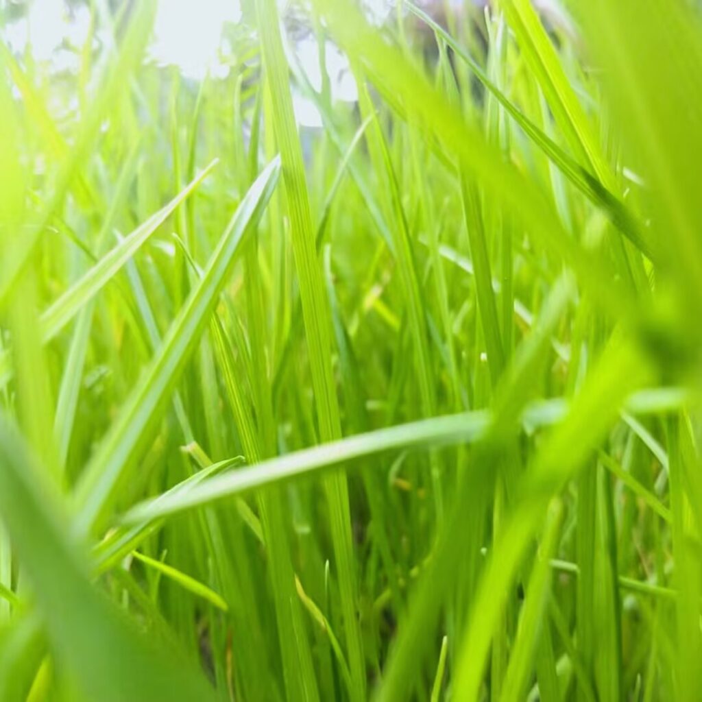 万物生